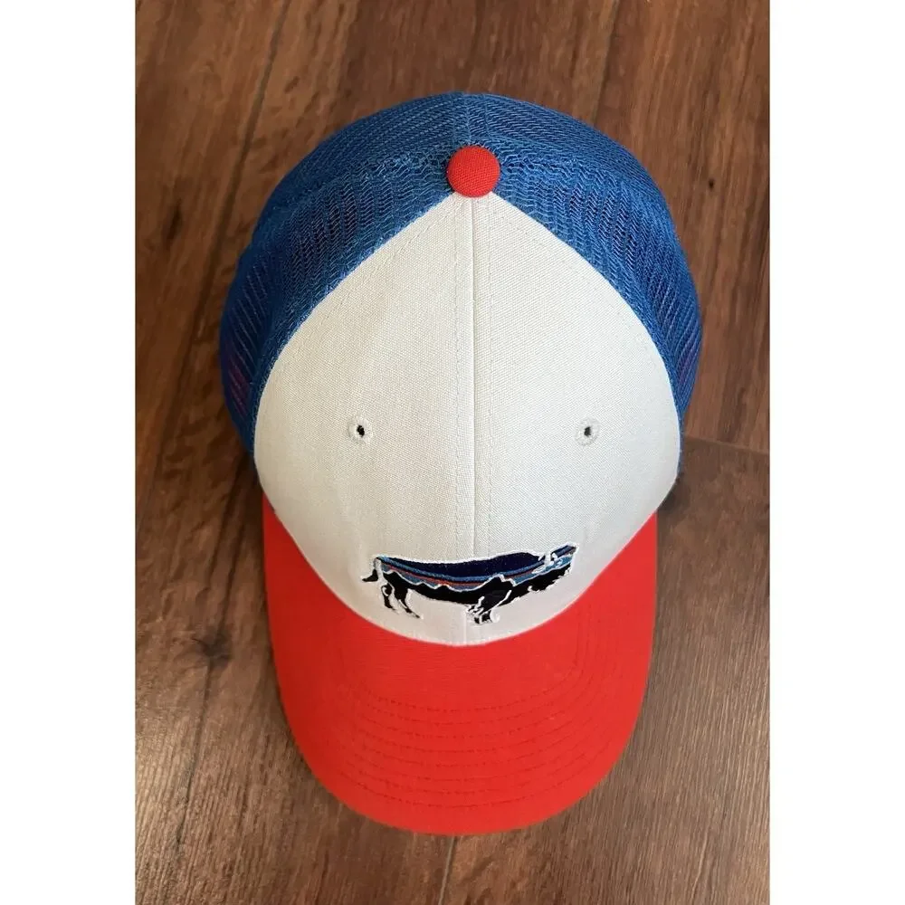 PATAGONIA Fitz Roy Bison Red White Blue SnapBack Trucker Hat One Size Adjustable